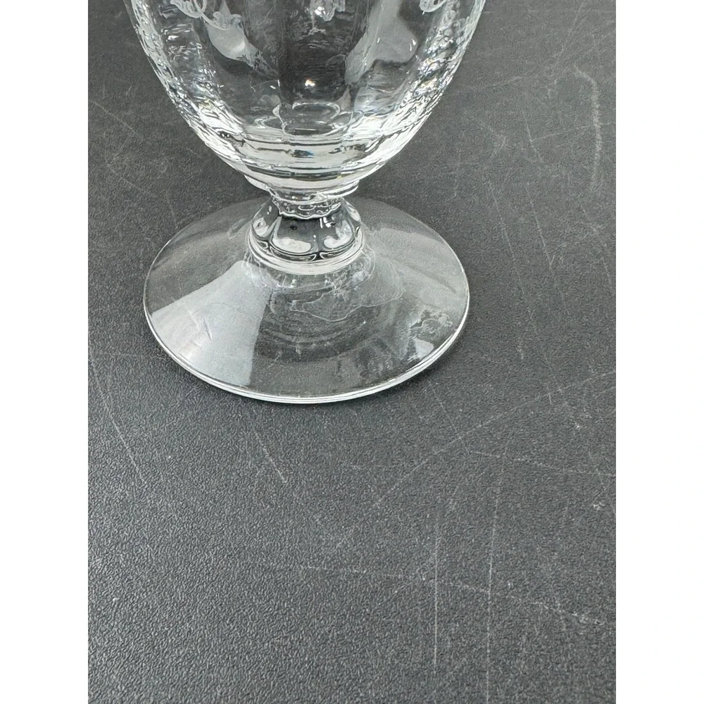 Fostoria Navarre Etched Glass Goblet Clear Crystal Footed Water Tea Glass 6 Inch